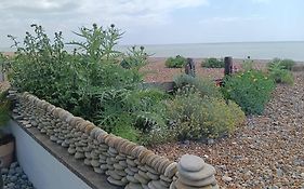 216 Coast Road, Ocean Bliss Direct Beach Access & Endless Waves
